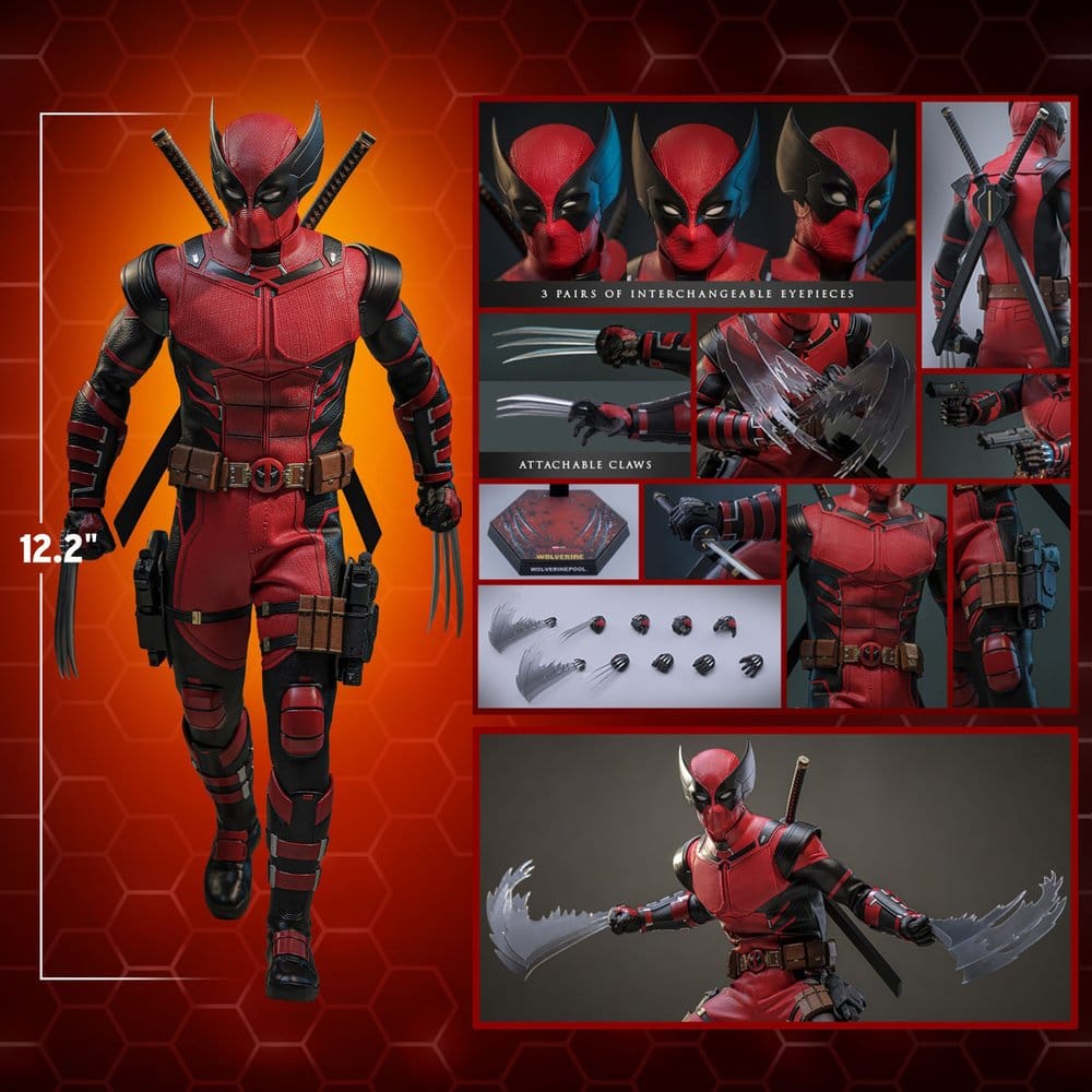 Wolverinepool – Hot Toys Exclusive 1:6 | Deadpool & Wolverine | Limited Edition